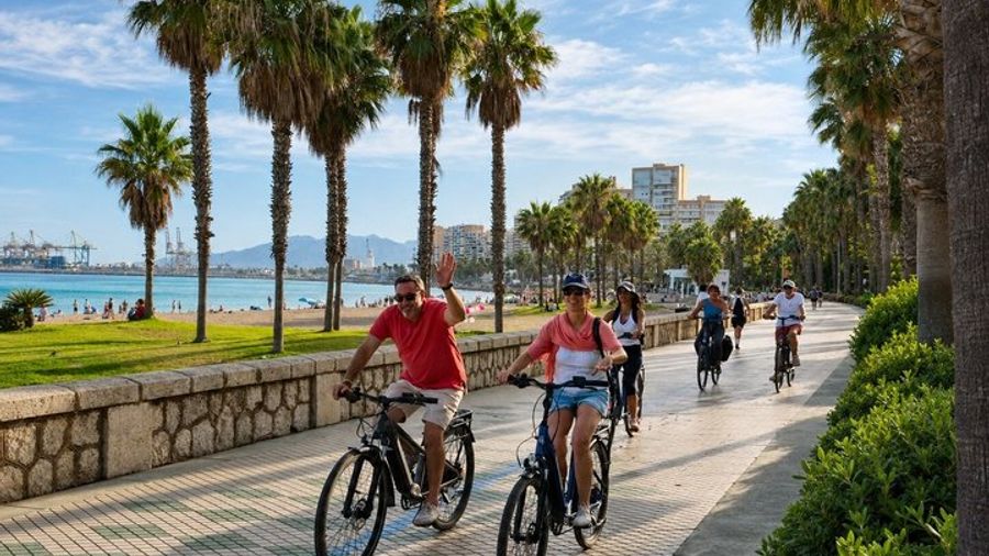 Malaga Electric Bike Guided Small-Group Tour