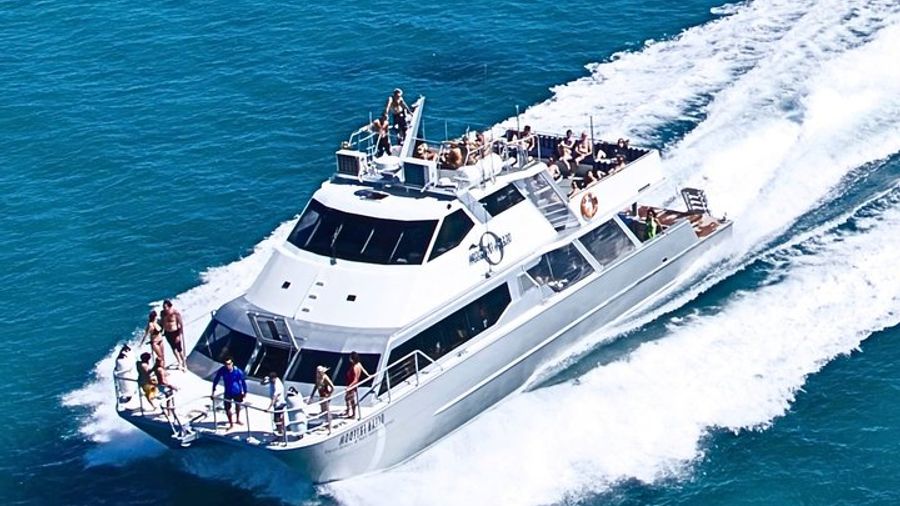 Great Barrier Reef Group Snorkel and Dive Cruise