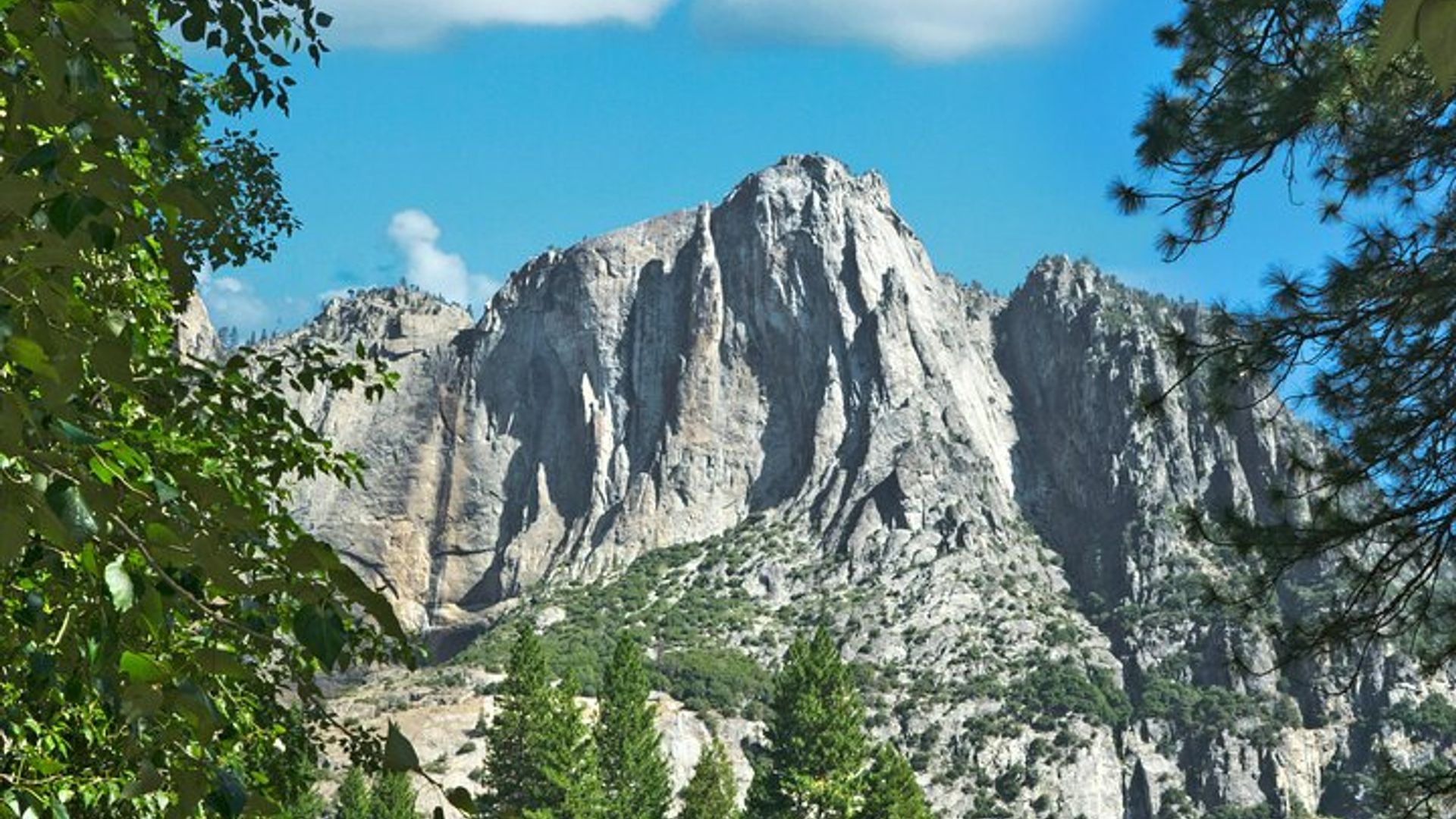 Yosemite Adventure: Full-Day Private Tour from San Francisco image 2