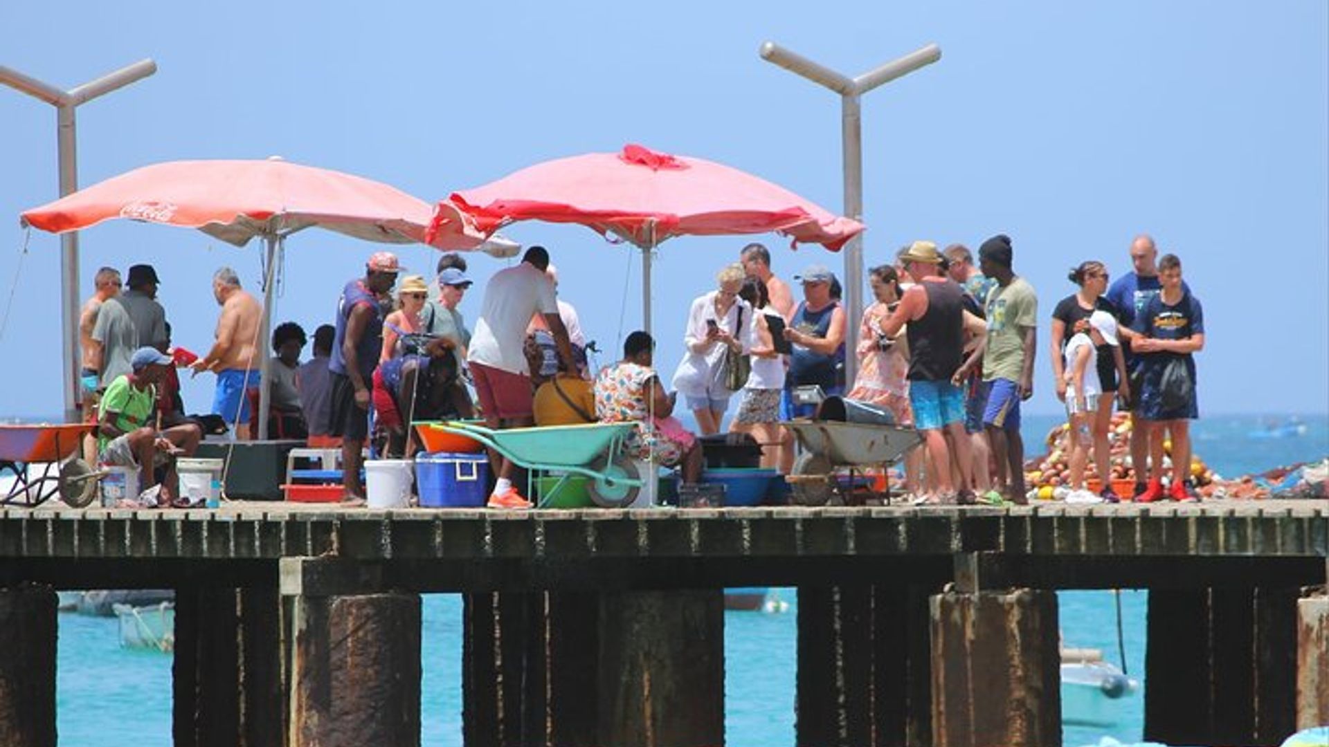 From Sal Island Blu eye Salt lake Lemon Sharks and Palmeira
