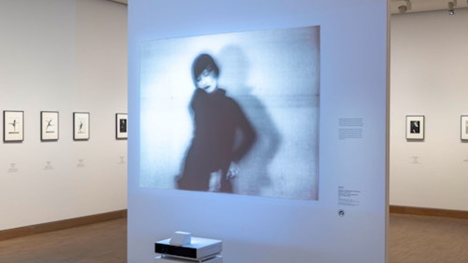 Albertina Museums: All Locations Entry Ticket