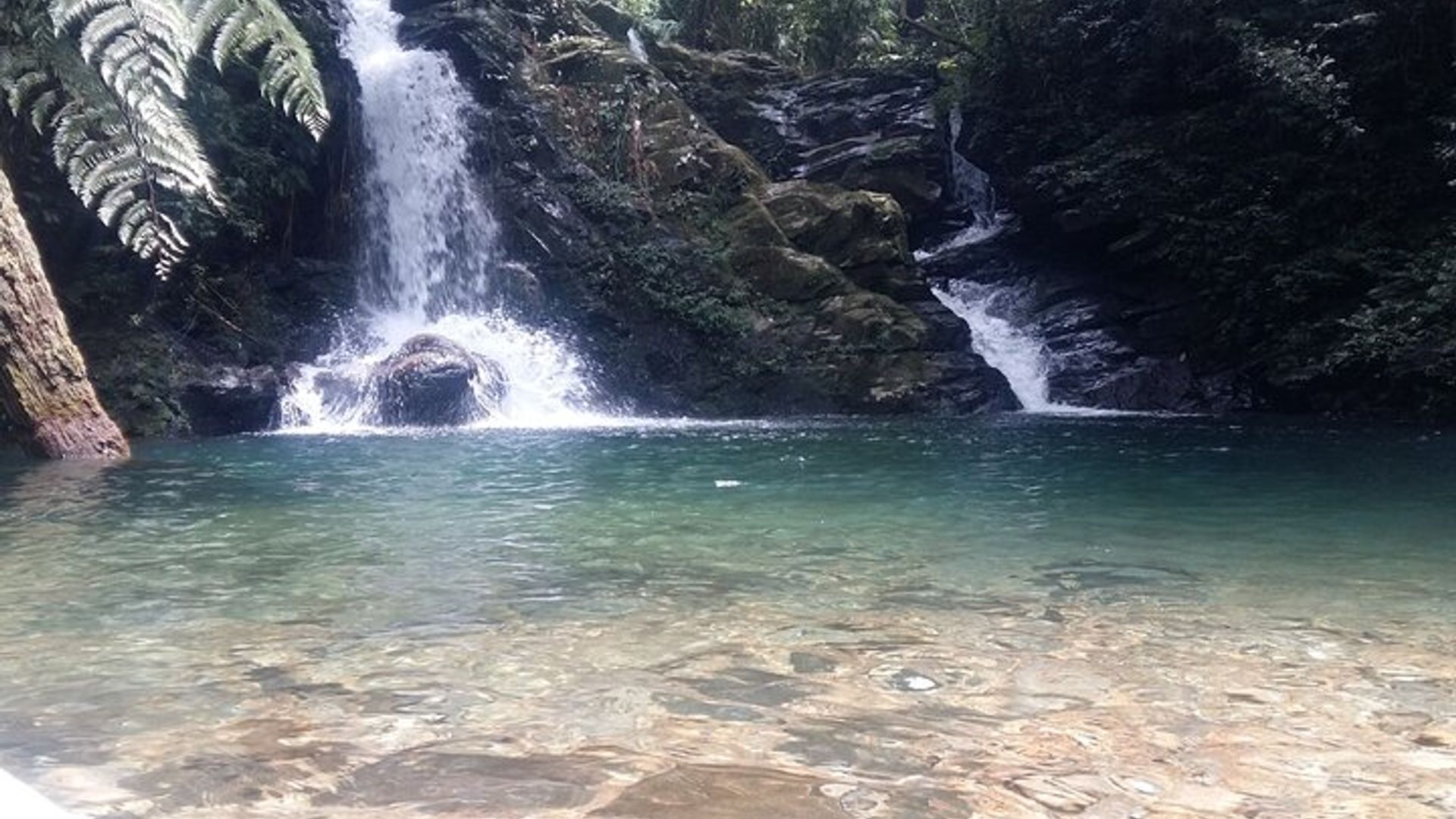 Bach Ma National Park Trekking Tour 1 Day From Hue city, Vietnam
