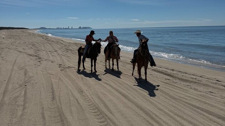 Jungle and Beach Horseback ride Tour in Pacific Coast