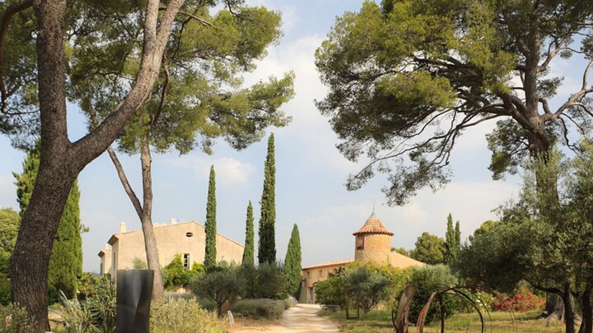 Private Vineyard Tour and Wine Tasting in Bandol