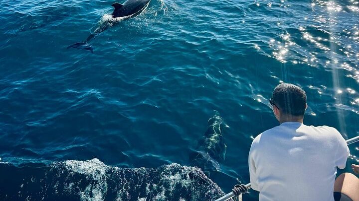Boat Tour with Snorkeling, Slide, Lunch and Pick Up