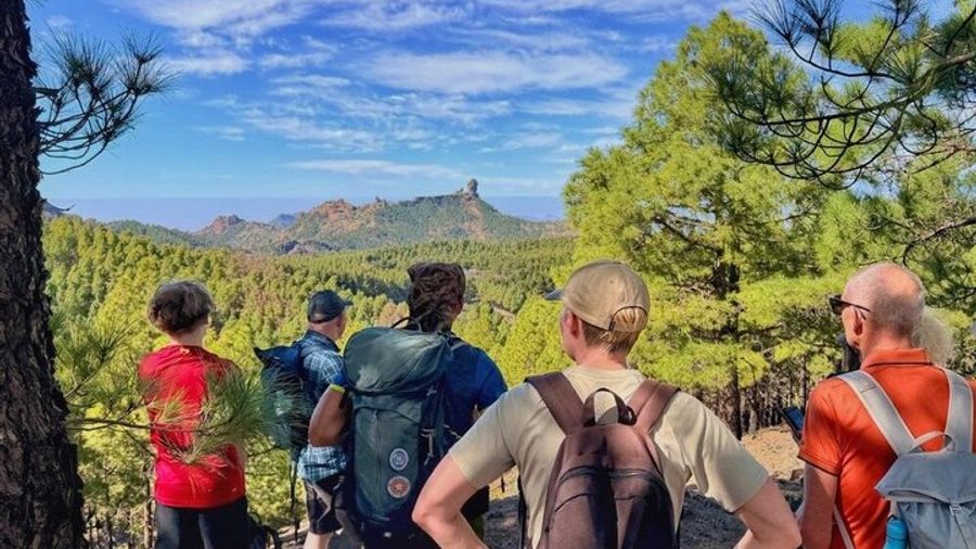 Full day Hiking Gran Canaria Peaks of Gran Canaria