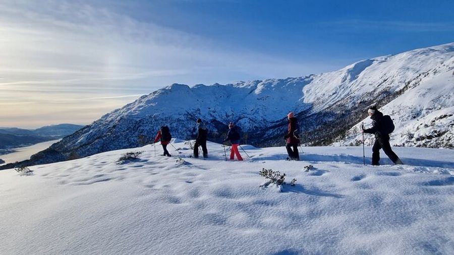 Bergen: Small-Group Snowshoe Hiking Tour