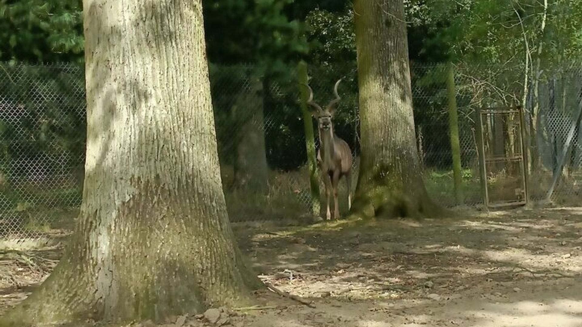 Von Safari bis Wikinger Eine Familientagestour