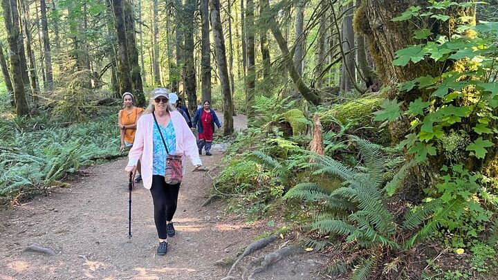 Seattle: Snoqualmie and Twin Falls Small-Group Half-Day Tour