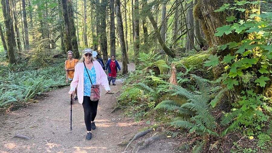 Seattle Private Two Waterfalls Half-Day Tour