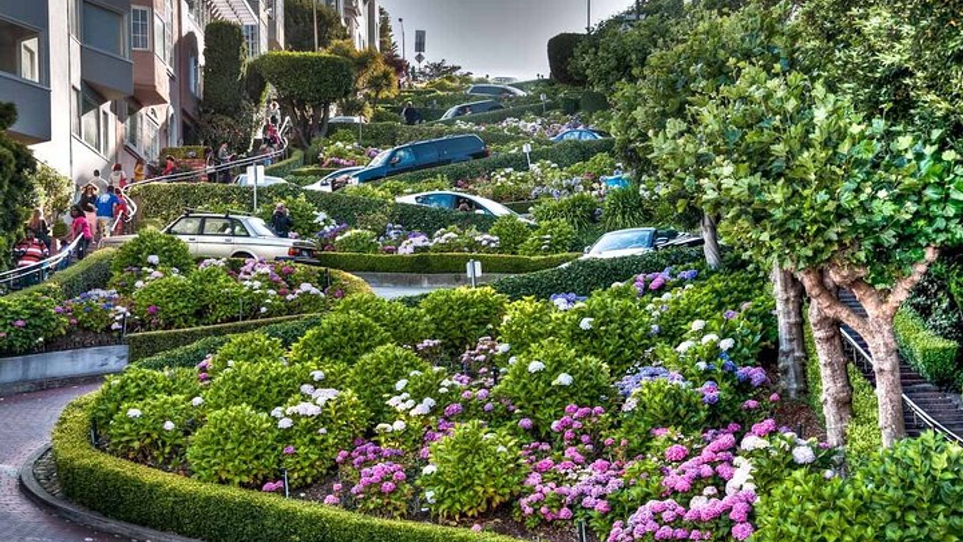 San Francisco Highlights: Alcatraz, Lombard Street & Coit Tower image 1