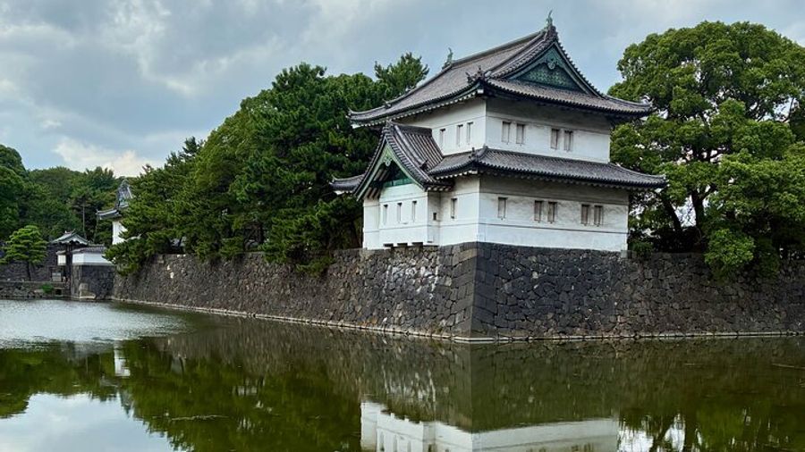 Tokyo Imperial Palace Historian's Walking Tour With Resident