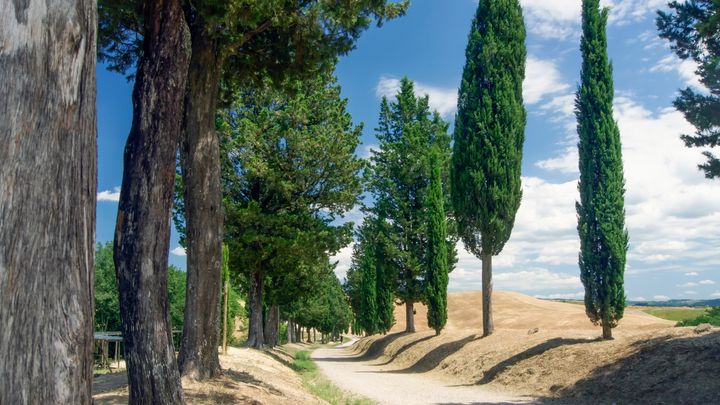 Tuscany Tour from Florence: Small Group Villages, Wine & Cooking Lunch