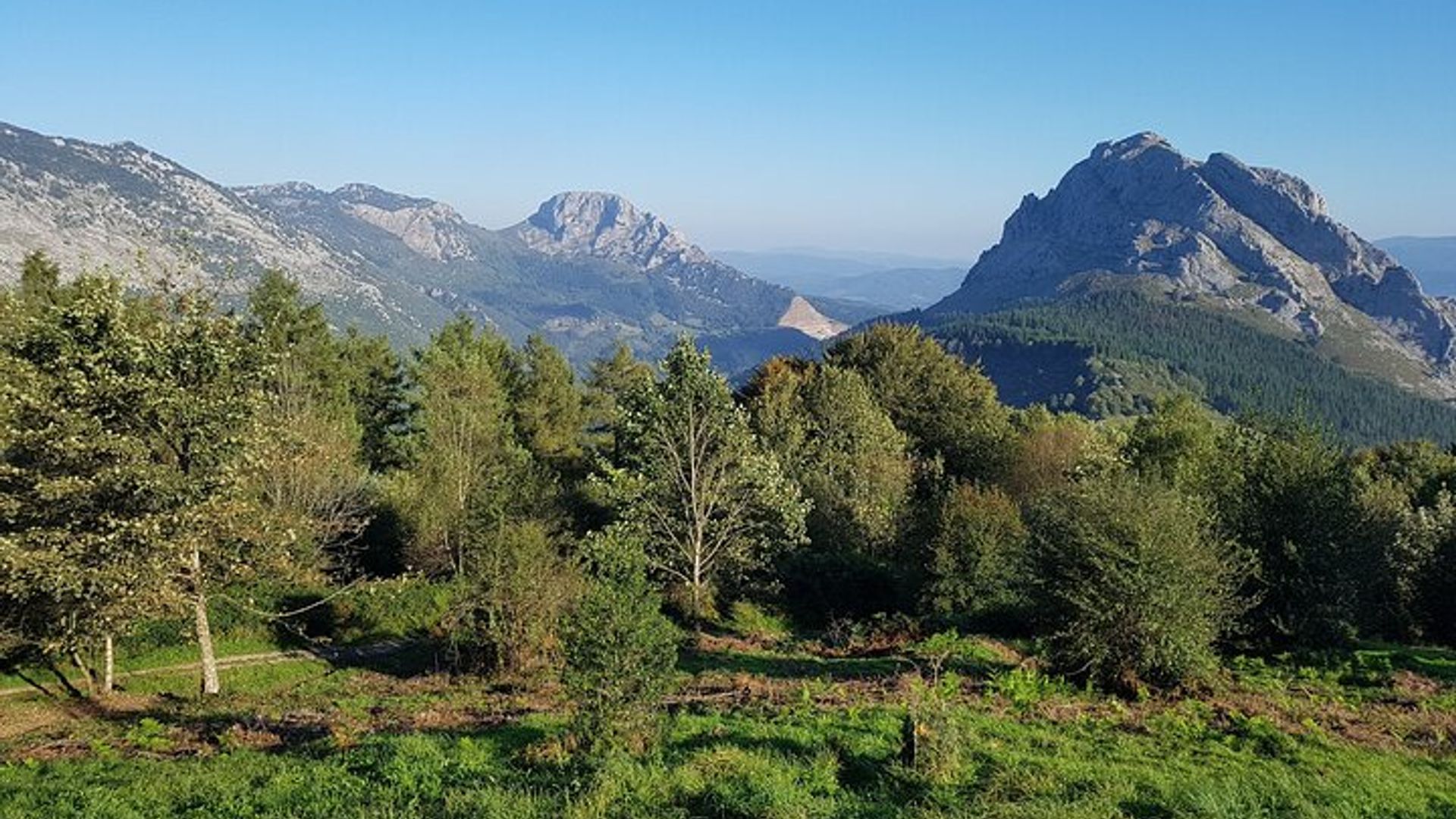 Visite privée de la Biscaye en visitant les villages, les forêts et les vallées