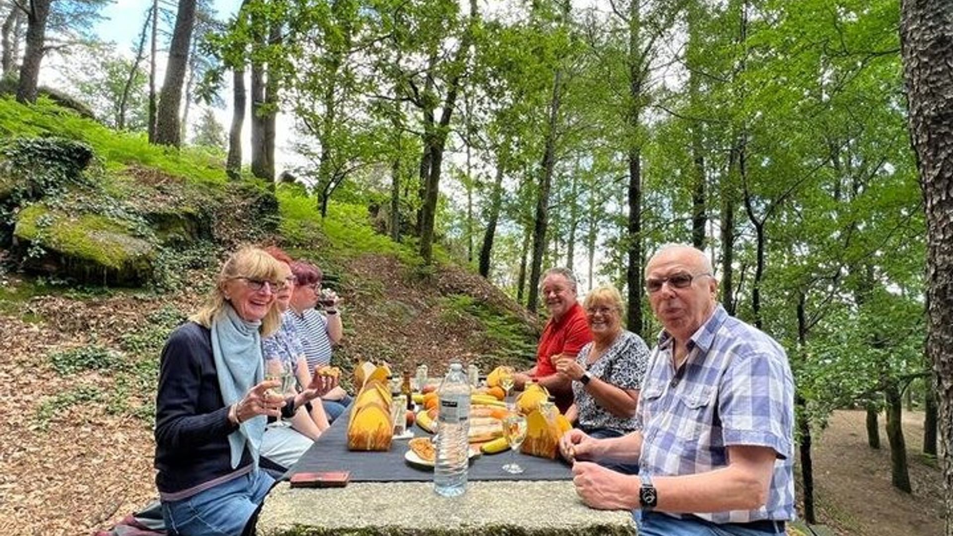 Excursion d'une journée en petit groupe au parc national Geres et pique-nique au départ de Porto
