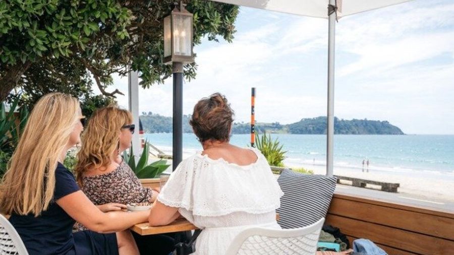 Waiheke Island Scenic Wine Tour with Lunch
