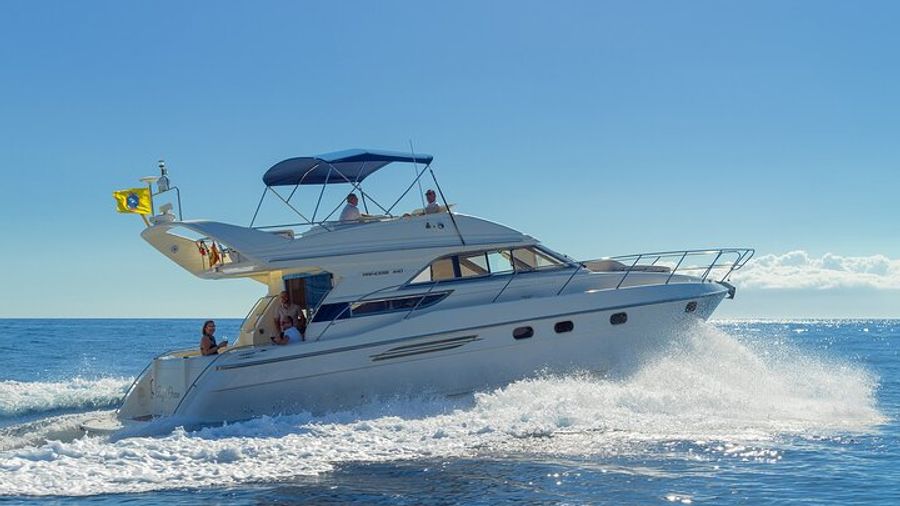 Las Galletas: Whale and Dolphin Watching Yacht Excursion
