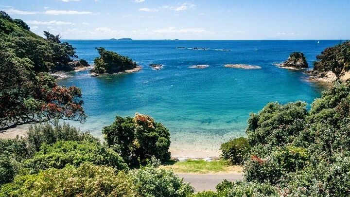 Waiheke Island Scenic Wine Tour