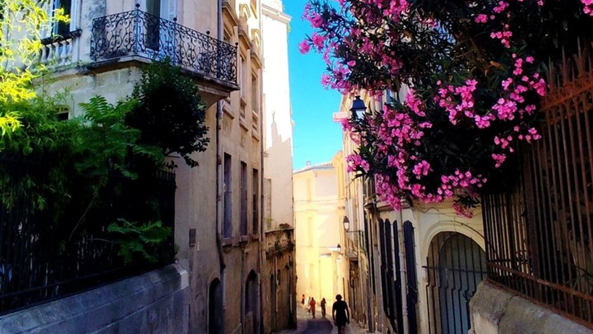 Entdecken Sie Montpellier ganz einfach mit dem Fahrradtaxi (private Tour).
