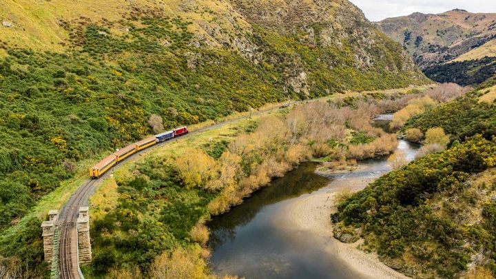Taieri Gorge Railway Tour from Dunedin