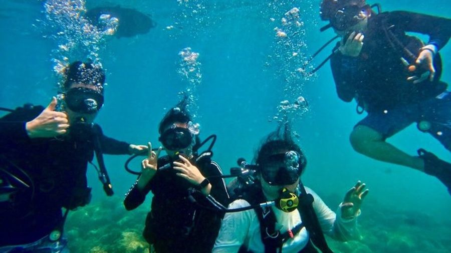 Honolulu Beginner Scuba Diving Experience