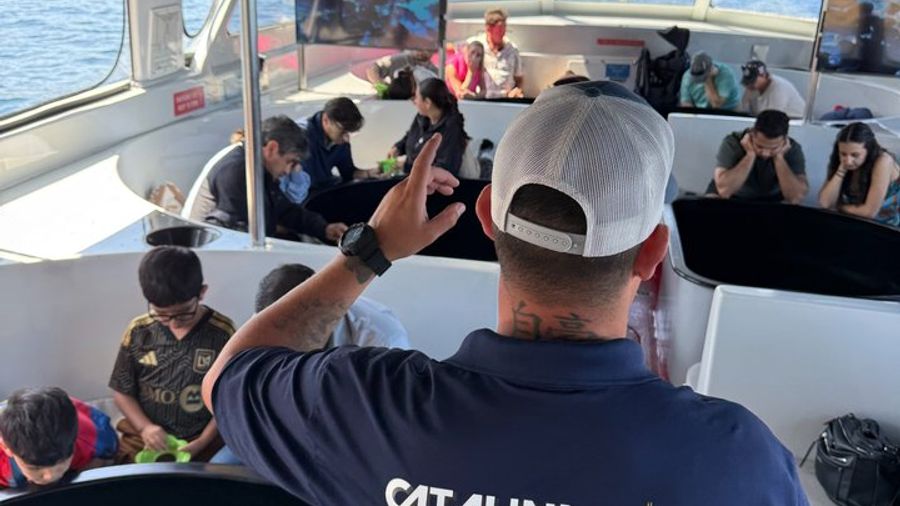 Catalina Island 45-Minute Glass-Bottom Boat Tour from Avalon