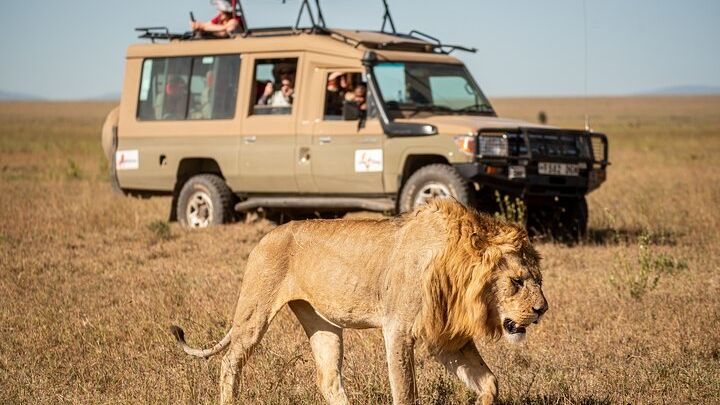 Tanzania Safari 7-Day Luxury All-Inclusive with Serengeti