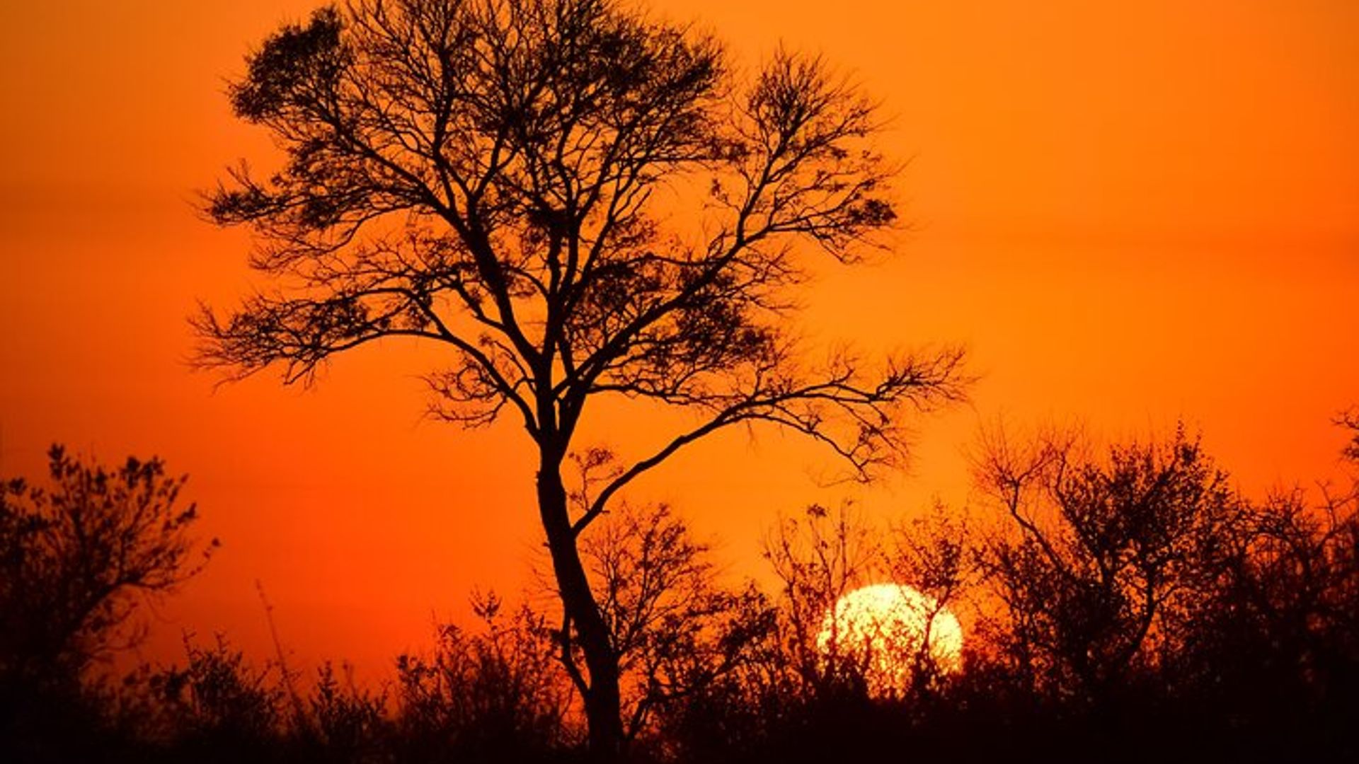 Safari de 3 jours dans le parc national Kruger au départ du Cap