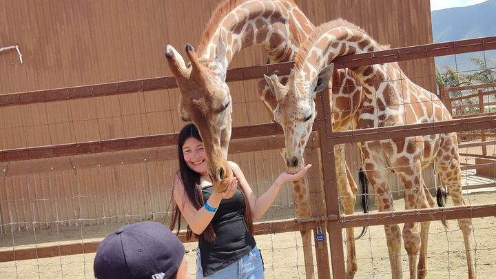 Pai Pai Animal Park: Private Ride and Ticket Assistance