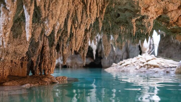 Private Turtle Snorkeling and Jungle Adventure with Cenote
