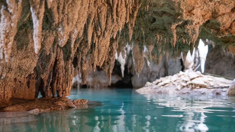 Private Turtle Snorkeling and Jungle Adventure with Cenote
