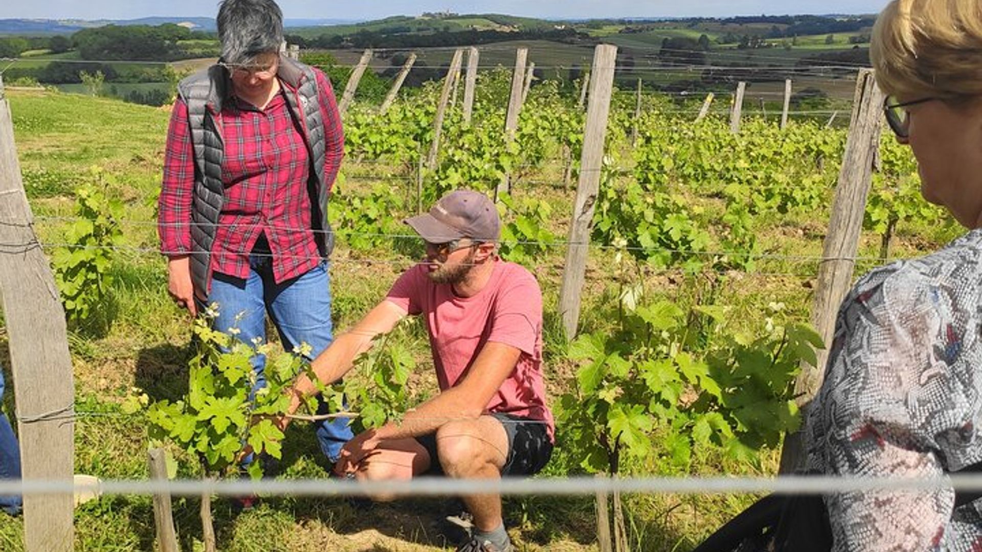Fronton Small Group Wine Tour from Toulouse