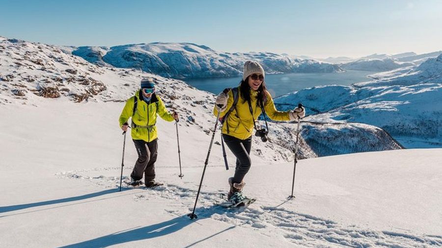 Tromso: Small-Group Snowshoeing Tour