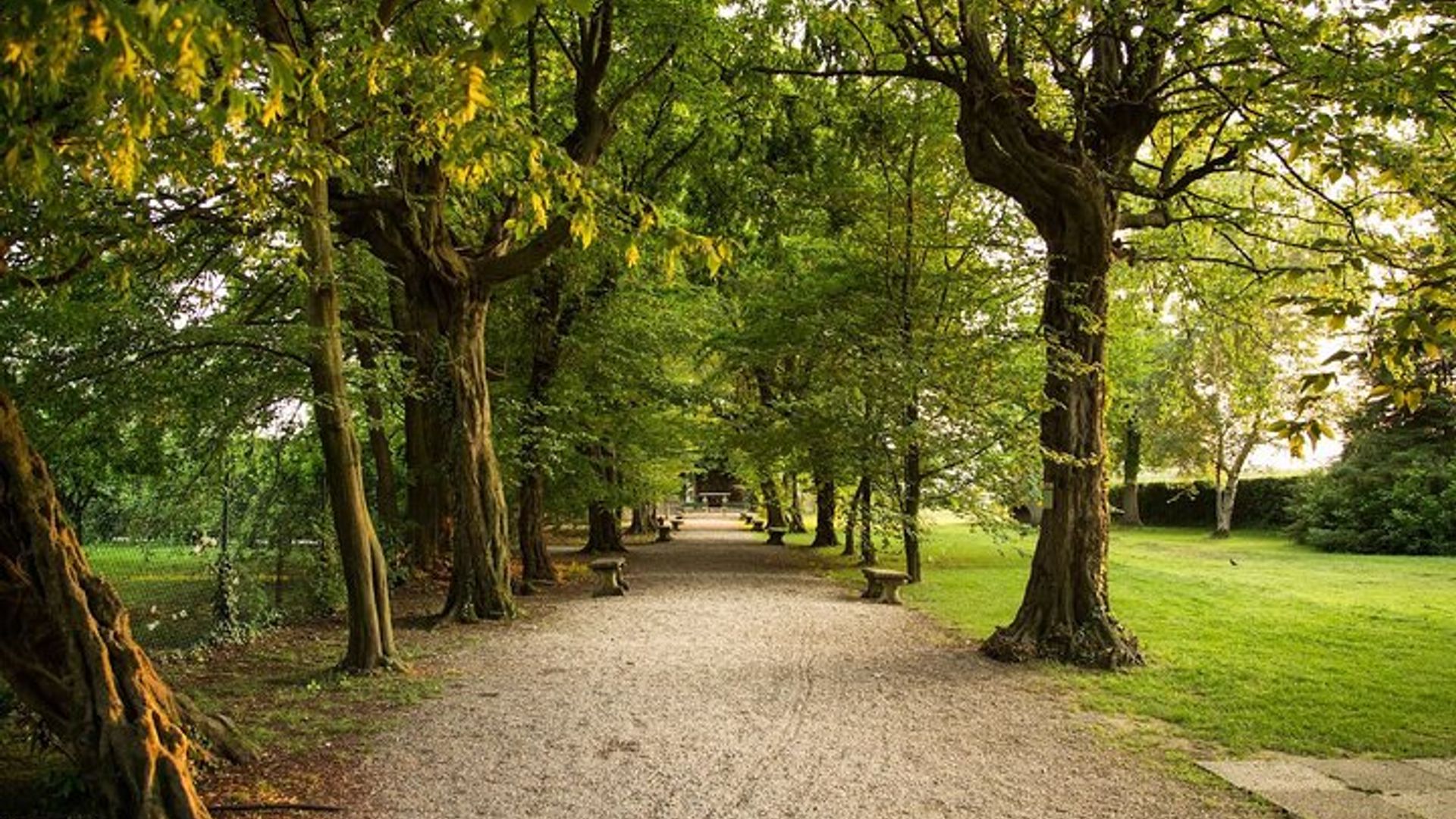 Visite des labyrinthes de Vénétie