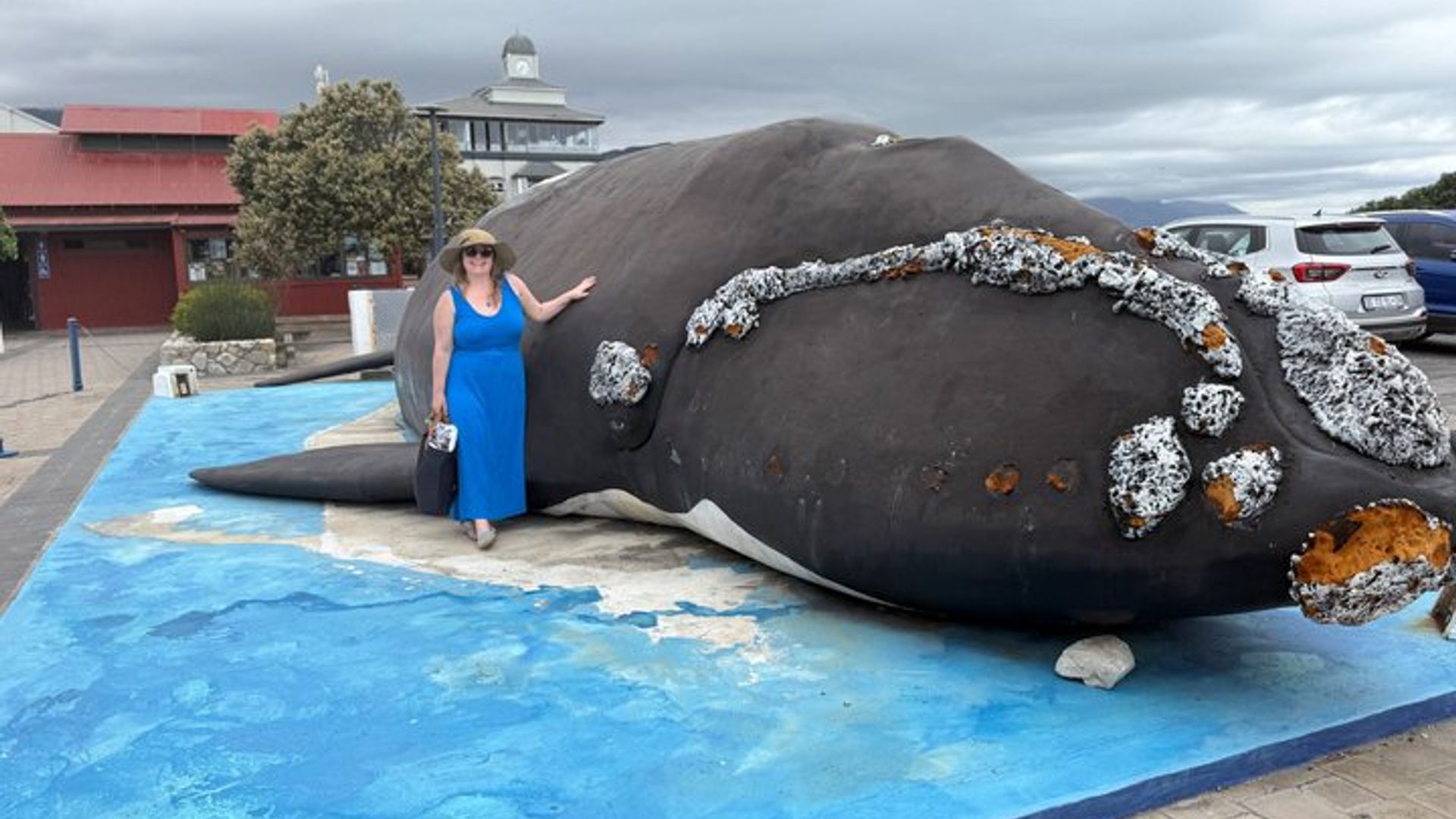 Avistamiento de ballenas y aventura de pingüinos en barco Hermanus