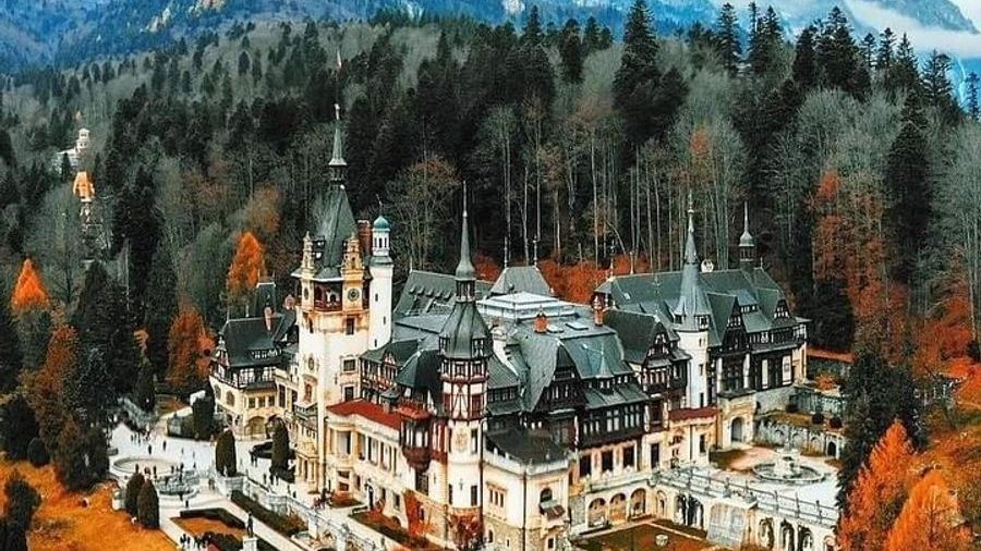 Brasov: Peles Castle, Bran Castles and Rasnov Fortress Day Tour
