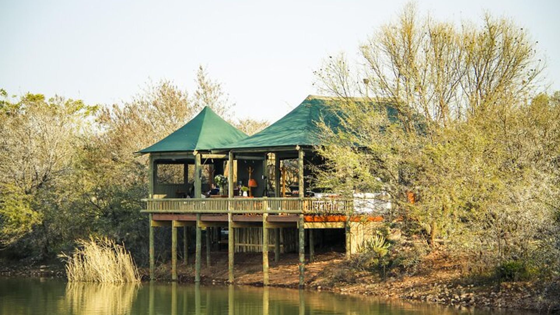 2 Day Small Group Garden Route Big 5 Safari Tour from Cape Town