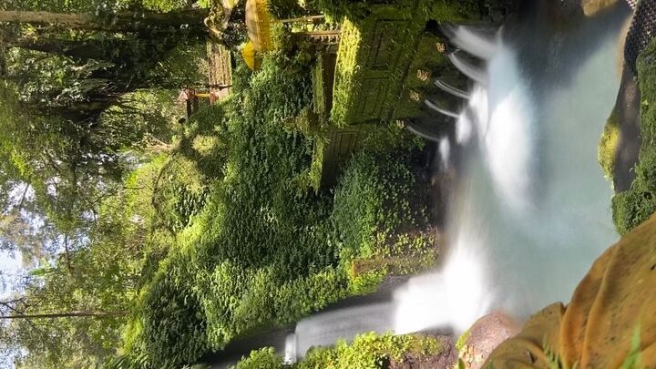 Ubud Shamanic Healing and Purification at Mengening Temple