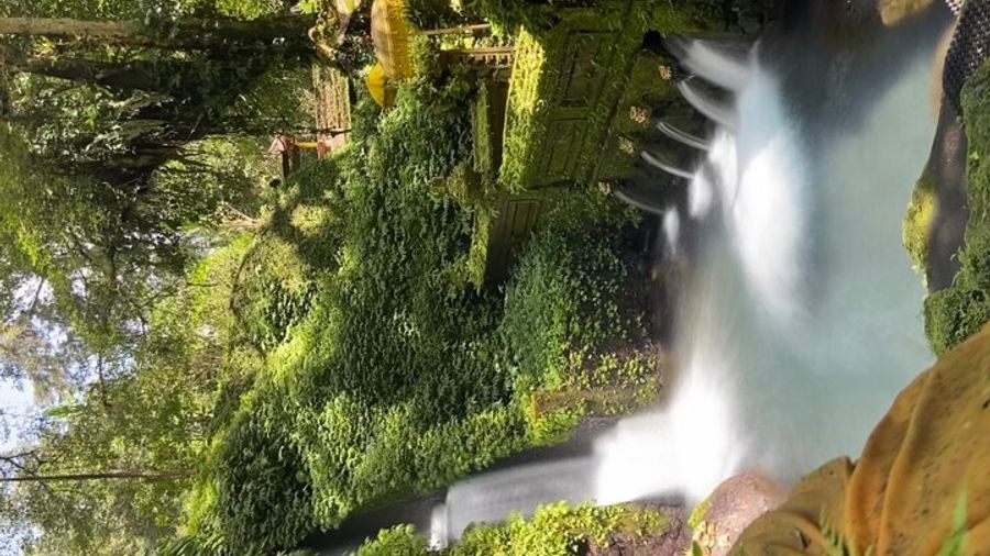 Ubud Shamanic Healing and Purification at Mengening Temple