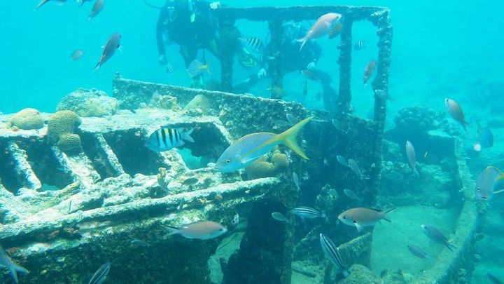 Discover Diving in Curacao