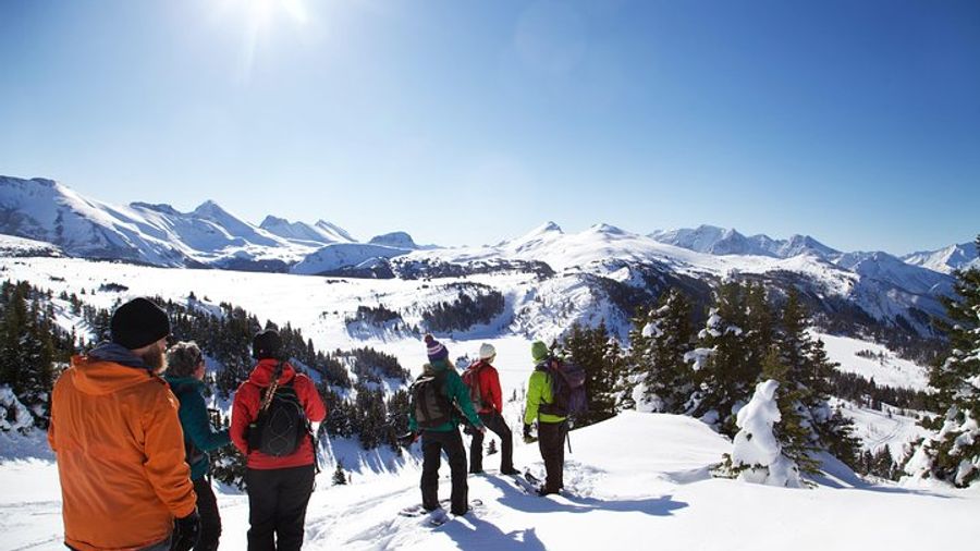 Snowshoeing Tour From Banff