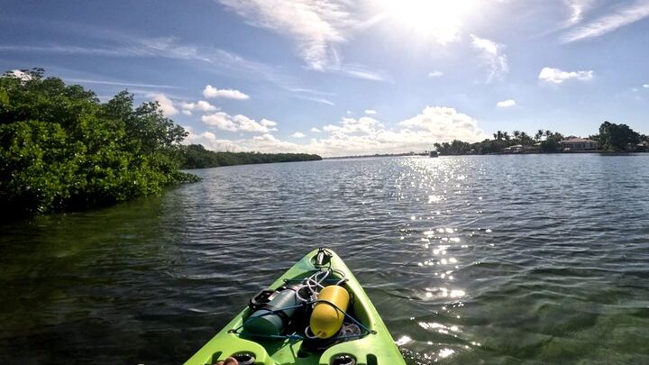 Lido Key Mangrove Tunnels Kayak Tour at Ted Sperling Park