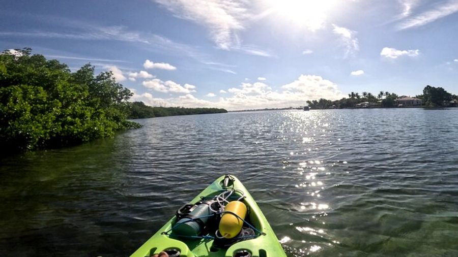 Lido Key Mangrove Tunnels Kayak Tour at Ted Sperling Park