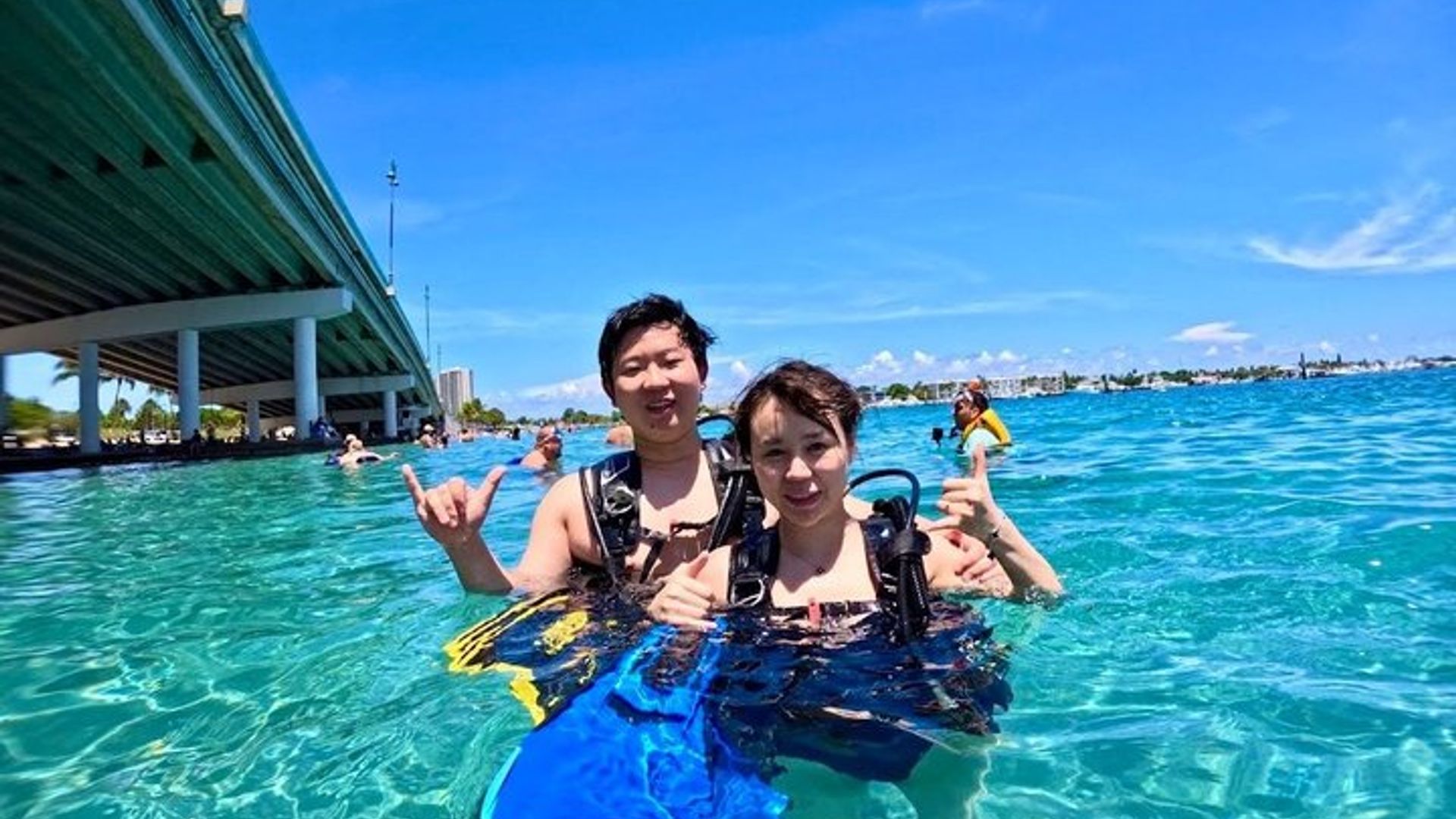 Plongée sous-marine Junior avec tortues + Vidéos gratuites West Palm beach