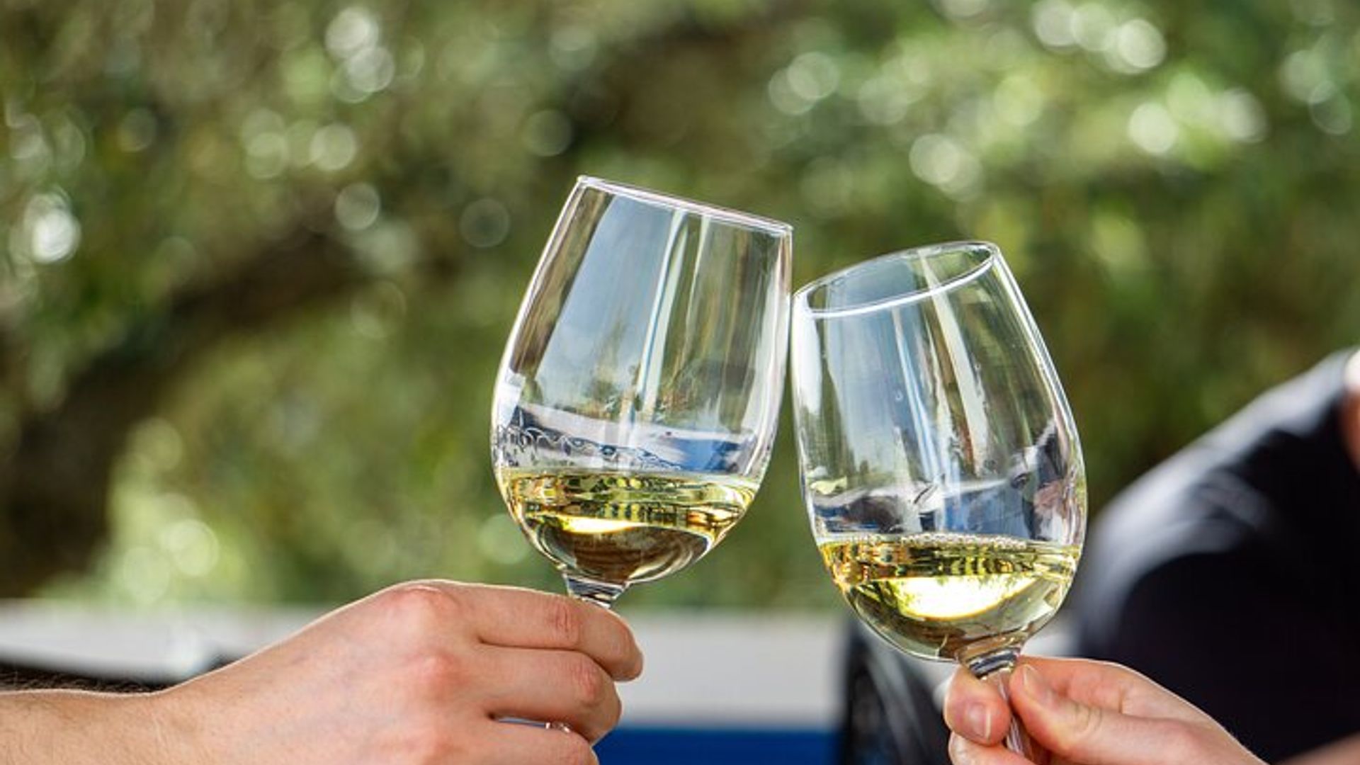 Albufeira Wine Tour: 2 Vineyards, 6 Tastings & Historic Silves