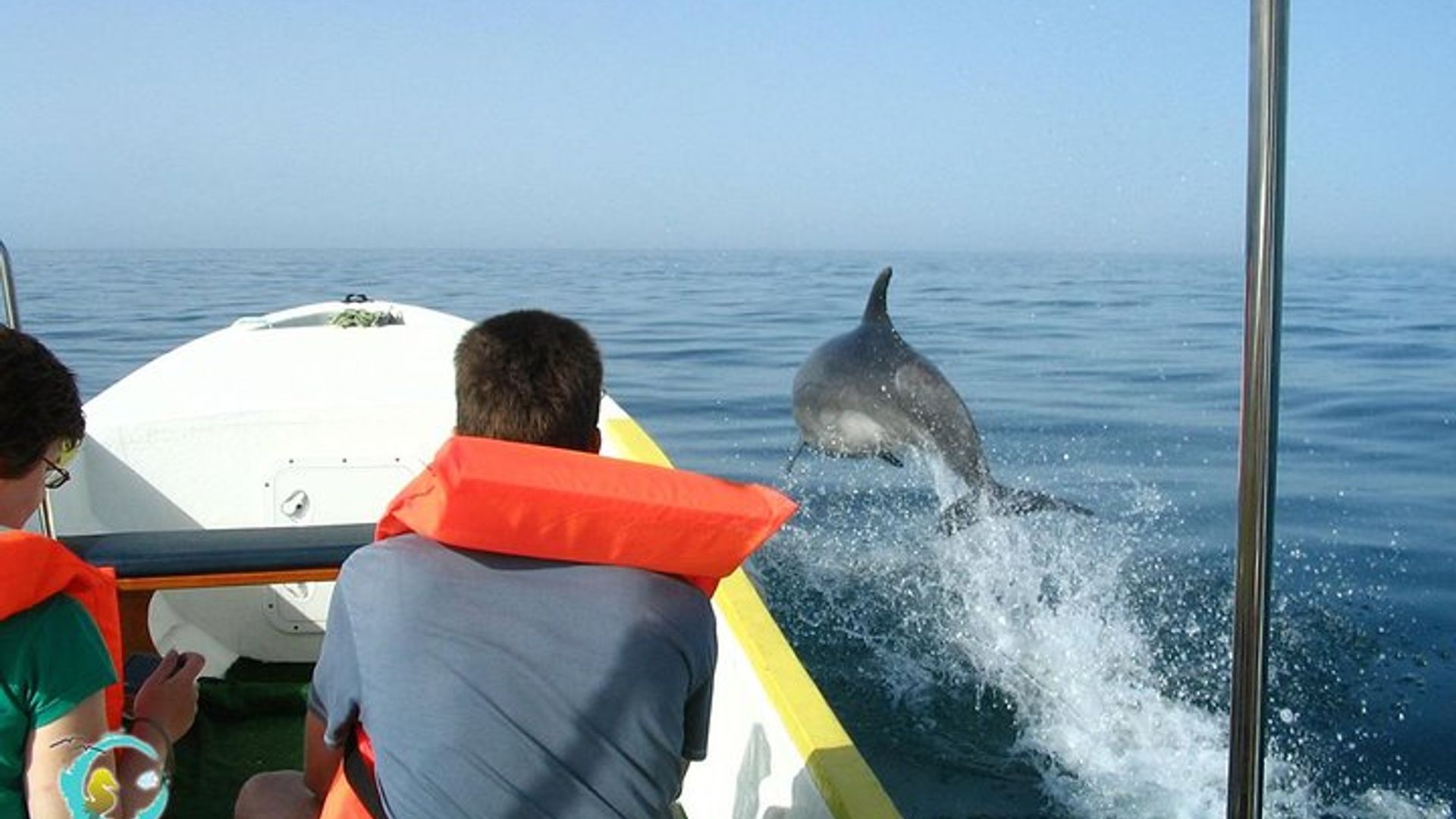 Avistamiento de delfines desde Cabanas de Tavira.