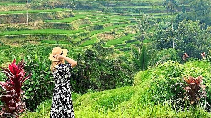 Ubud Private All inclusive Highlights Tour