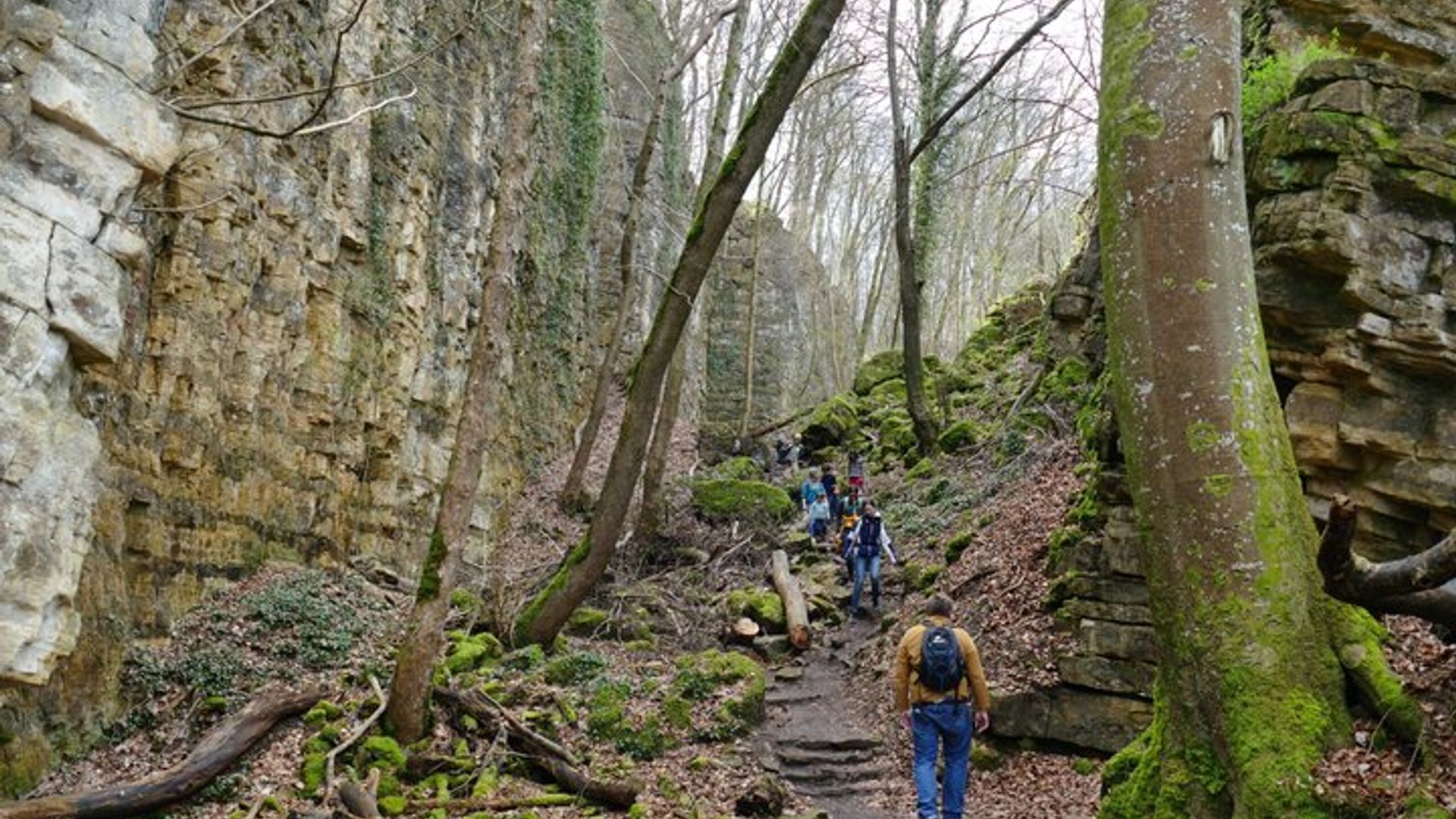 Mullerthal Walk : Berdorf Rocks, Clifftop Wine & the Wolf's Gorge