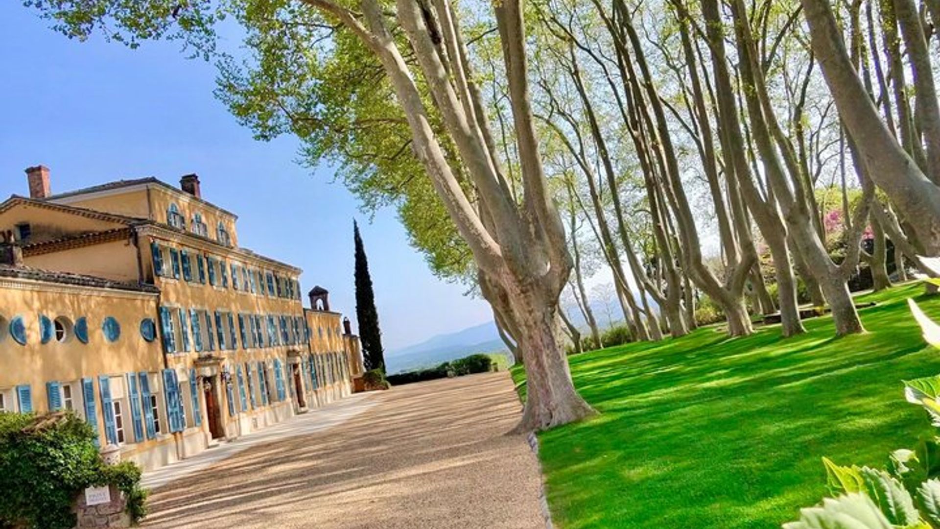 Circuit œnologique en Provence au départ du port de croisière de Cannes - Privé § sur mesure