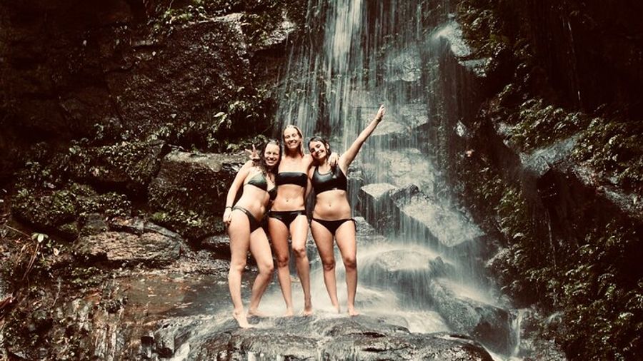 Tijuca National Park Half-Day Hiking Tour